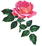 pic (19) (139x150, 28Kb)