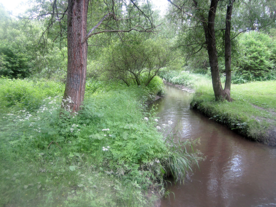 пас4.jpg